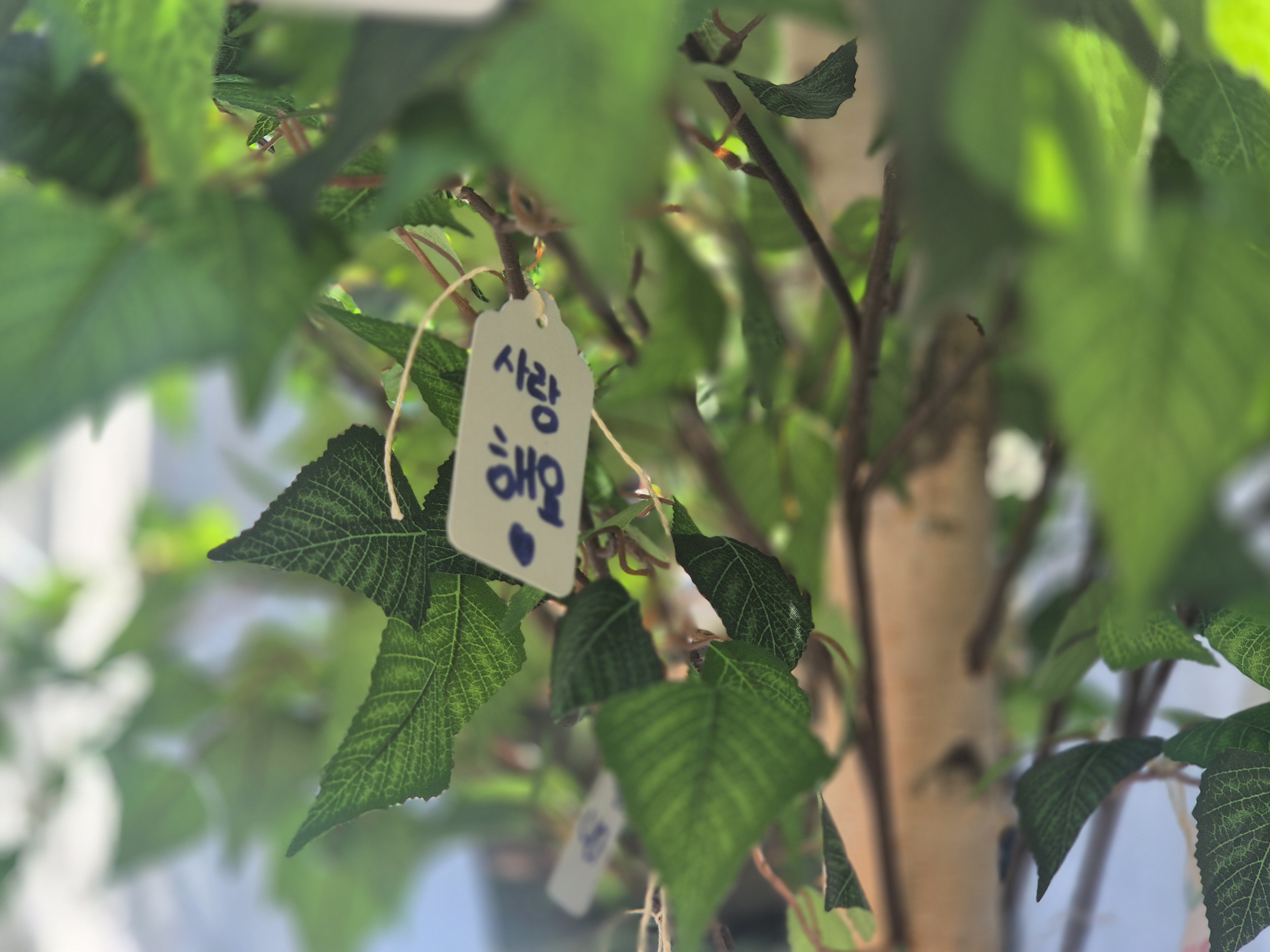 첨부이미지